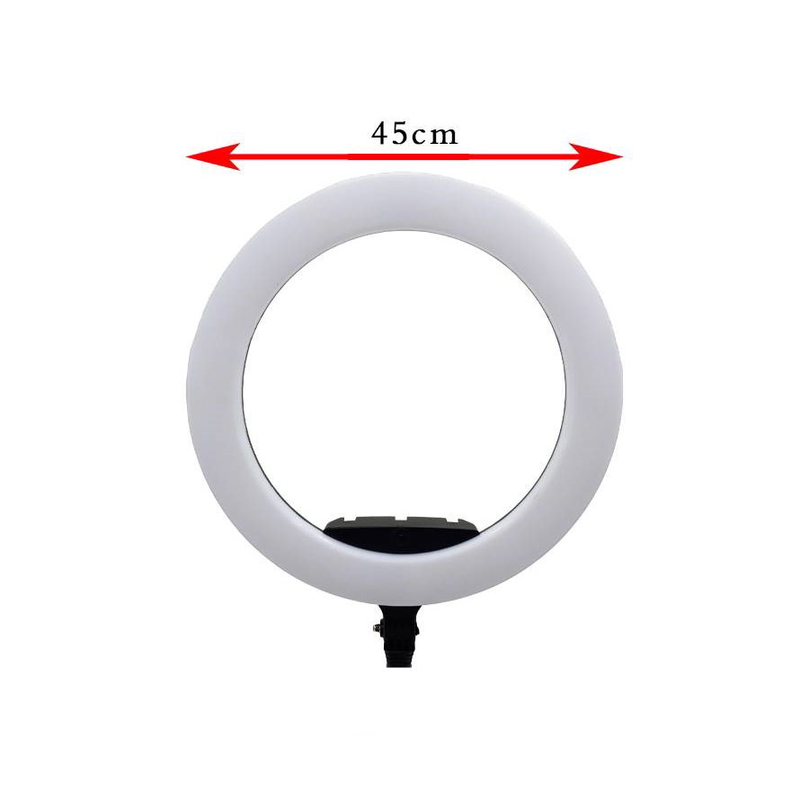 Sierra Ring Light A330